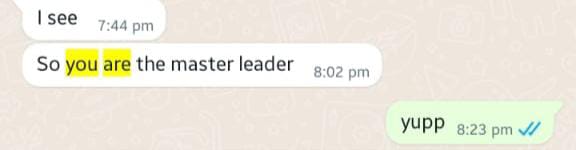 WhatsApp message from Ethan Walsh calling the operator the master leader